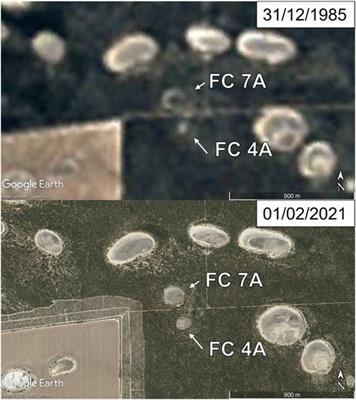 Natural hydrogen seeps or salt lakes: how to make a difference? Grass Patch example, Western Australia